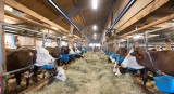 La ferme