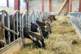 La Ferme des Hauts Forts