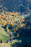 Graydon en automne
