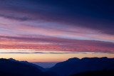 Lignes violettes
