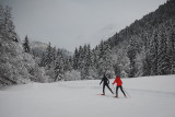 Ski de fond