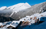 lindarets_janv16_5.jpg