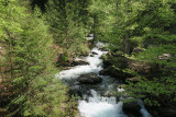 Walking itinerary: from Montriond Lake to Ardent Waterfall_Montriond