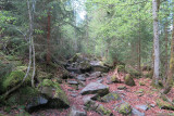 Walking itinerary: from Montriond Lake to Ardent Waterfall_Montriond
