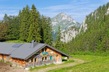 Ouzon Alpine Pasture