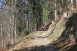 Chemin forestier vers la Chaux