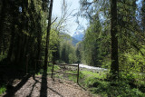 Les Dérèches - promenade au bord de la Dranse_Montriond