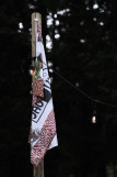 nicolasrosset_nikooo_r00042.jpg