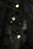 nicolasrosset_nikooo_r00043.jpg