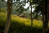 Seytroux river walk_Seytroux