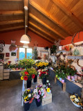Fleurs d'Aulps_Saint-Jean-d'Aulps