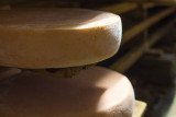 Fromage d'Abondance en affinage dans la cave