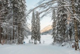 Vue sur le Lac de Montriond au départ de la piste