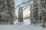 Départ de la piste de ski de fond : vue sur le lac de Montriond Départ de la piste de ski de fond : vue sur le lac de Montriond