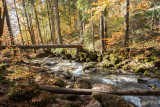 Du Lac de Montriond à la Cascade d'Ardent