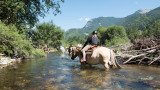 Traversée de la rivière avec les chevaux