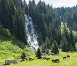 Des Lindarets à la Cascade ds Brochaux - © Yvan Tisseyre/OT Vallée d'Aulps Des Lindarets à la Cascade ds Brochaux