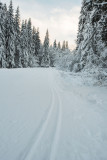 piste-ski-fond-montriond-janvier23-3-96357
