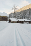 piste-ski-fond-montriond-janvier23-8-96358