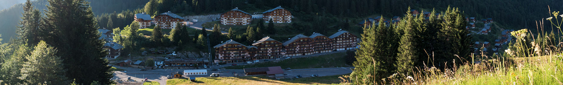 Drouzin le Mont en été