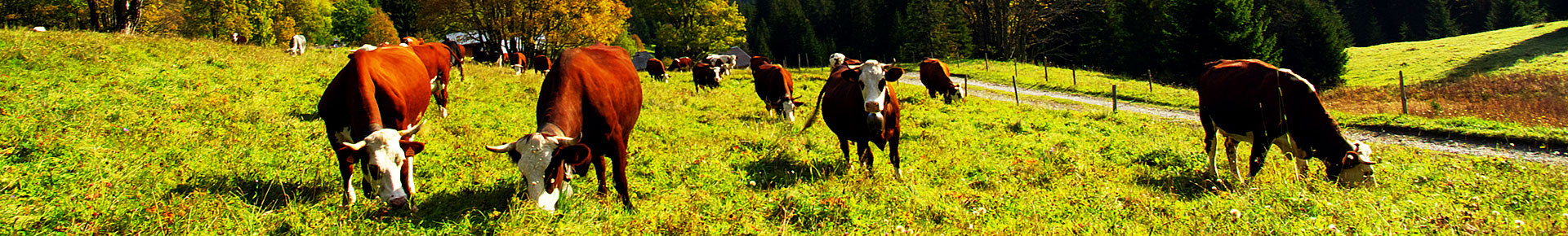 Gaec la Touvière, Essert-Romand