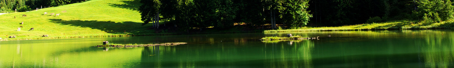 Lac des Mines d'Or