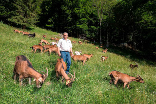 La Ferme du Petit Mont