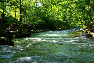 Pêche en rivière