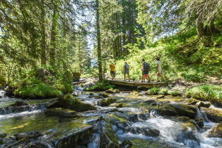 Sentier pédestre : des Lindarets à la Cascade des Brochaux_Montriond