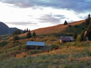 Etelly Alpine Pasture