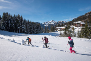 Plan du sentier raquettes Le tour de Drôline