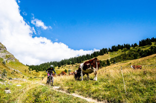 Sortie de ebike dans le brouillard