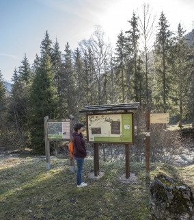Fiche technique - Seytroux à la Loup's - ETE