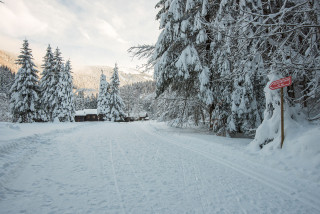 piste-ski-fond-montriond-janvier23-5-96356