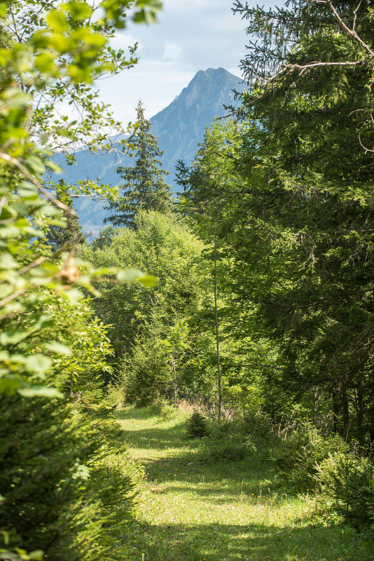 Grand Tour des Crêtes de Seytroux