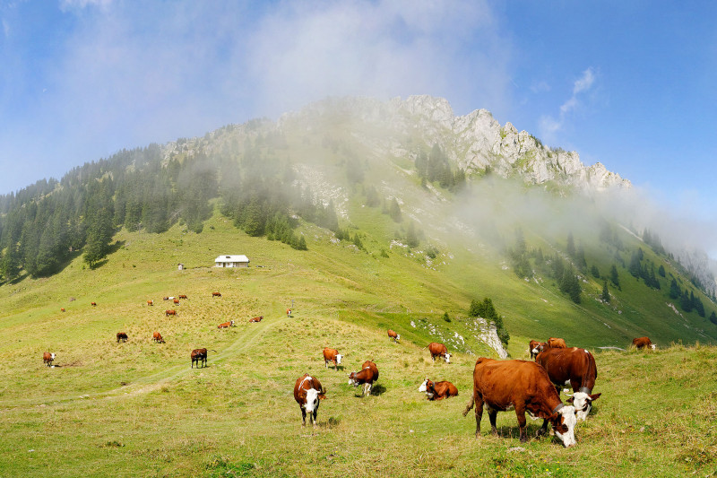 Tour du Mont Ouzon