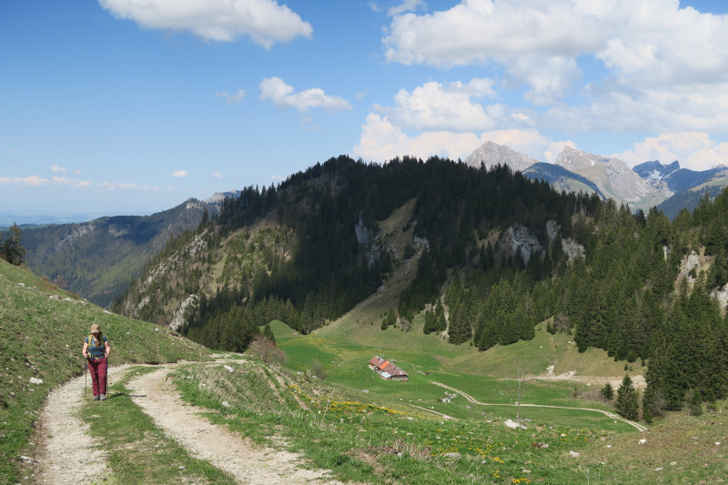 Randonnée pédestre : Tour du Mont Ouzon_Le Biot