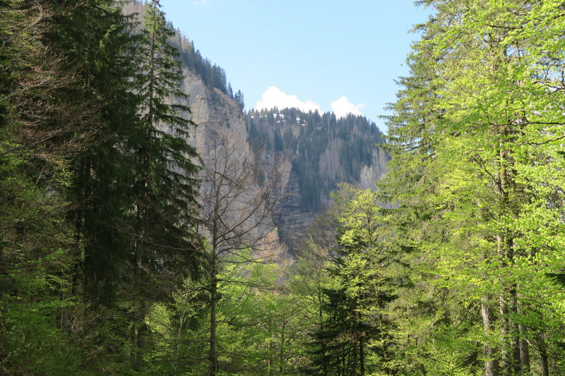 Walking itinerary: from Montriond Lake to Ardent Waterfall_Montriond