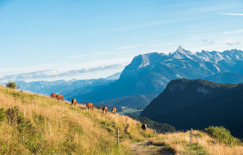 Vue sur les Aravis après le col de la Basse