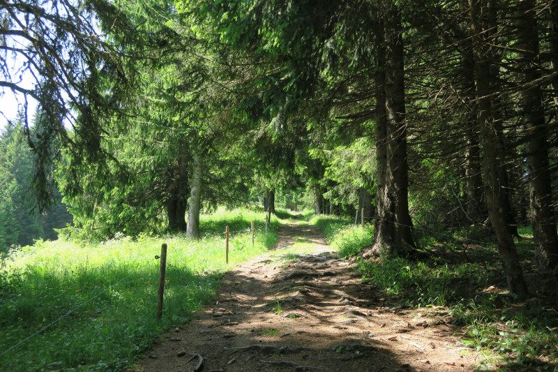 Hiking: Crêtes de Seytroux grand tour_Seytroux