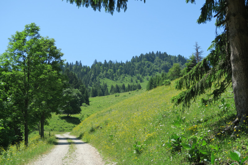 Randonnée pédestre : alpage de Seytrouset_La Baume