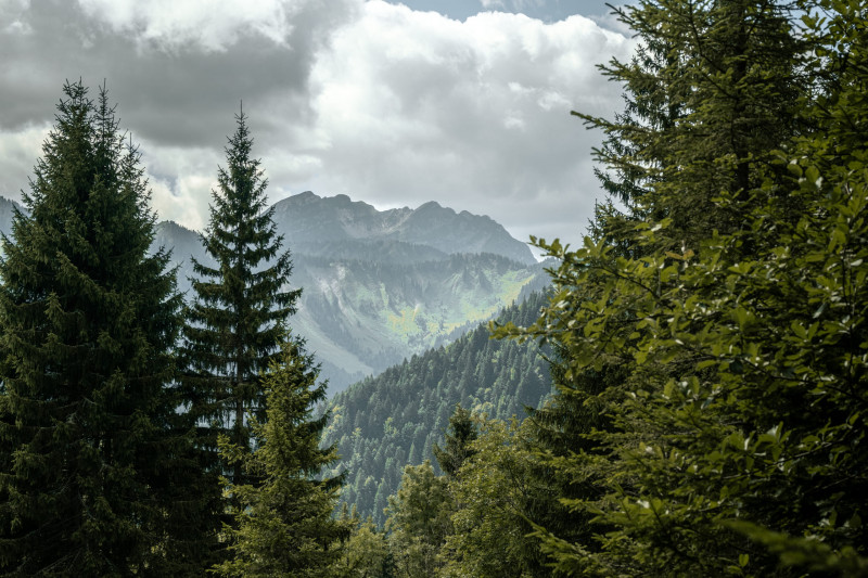 Sentier pédestre du Petit tour des Crêtes de Seytroux_Seytroux