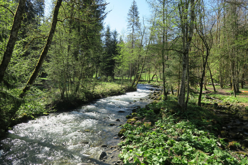 Les Dérèches - promenade au bord de la Dranse_Montriond - © Victor Demilly / Vallée d'Aulps Tourisme Les Dérèches - promenade au bord de la Dranse_Montriond