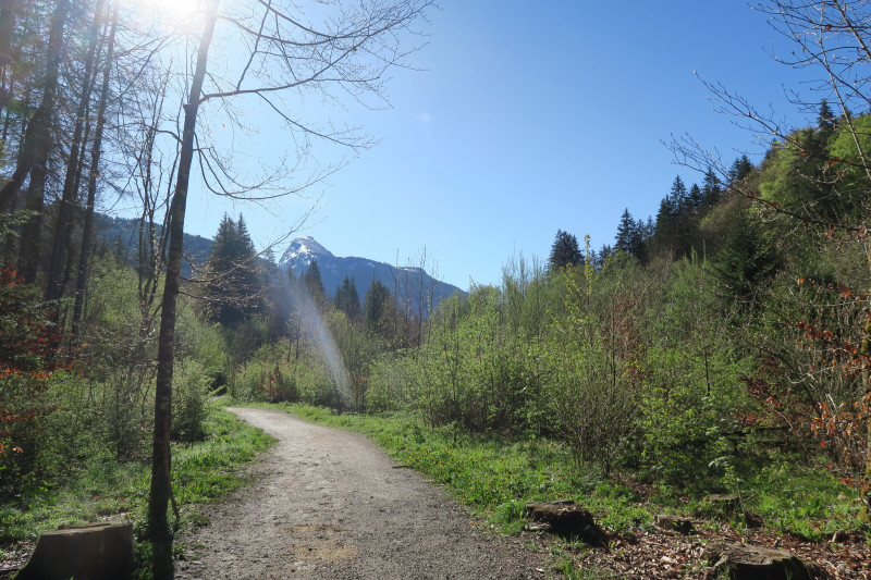 Les Dérèches - promenade au bord de la Dranse_Montriond - © Victor Demilly / Vallée d'Aulps Tourisme Les Dérèches - promenade au bord de la Dranse_Montriond