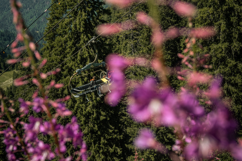 Randonnée pédestre : le Lac Vert depuis la télécabine d'Ardent_Montriond