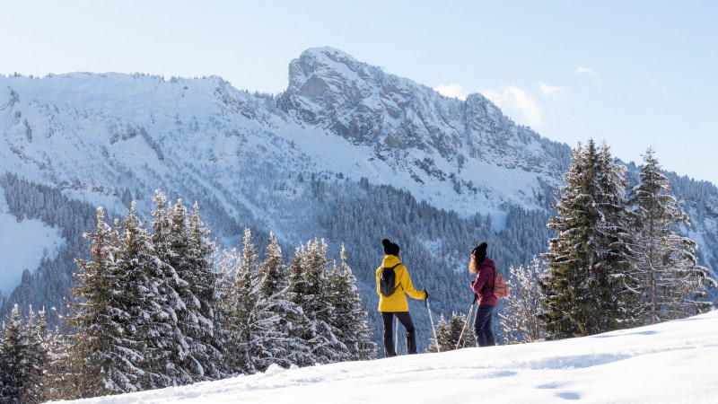 Sentier raquette lac des mines d'or Sentier raquette lac des mines d'or