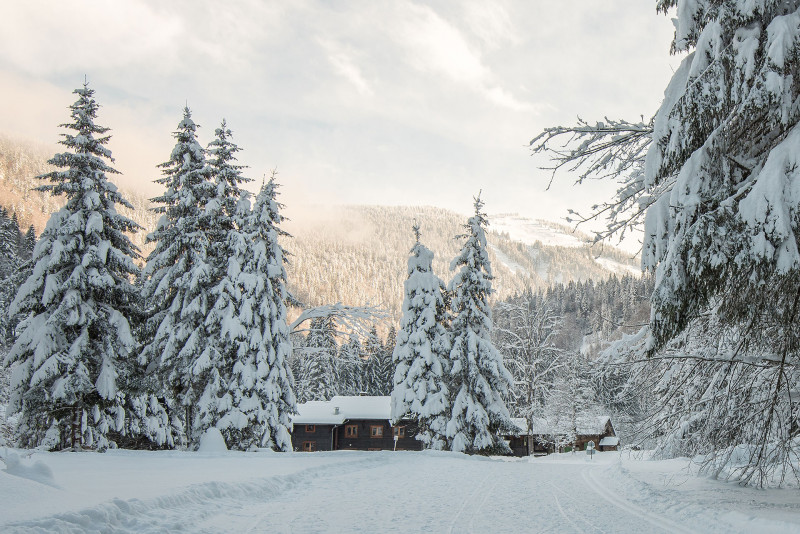 Hameau des Albertans Hameau des Albertans