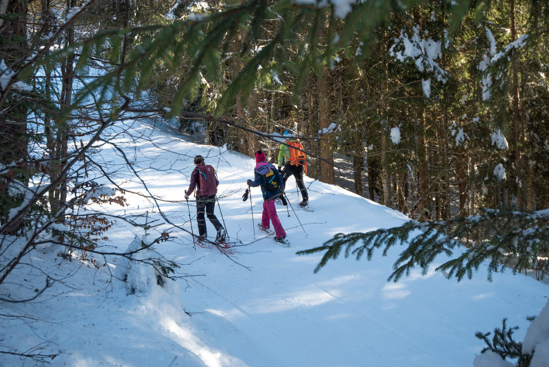 Autour de la forêt de Drouzin - © Yvan Tisseyre/OT Vallée d'Aulps Autour de la forêt de Drouzin