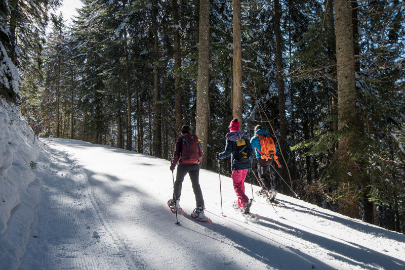 Sentier raquettes le tour de Drôline - © Yvan Tisseyre/OT Vallée d'Aulps Sentier raquettes le tour de Drôline