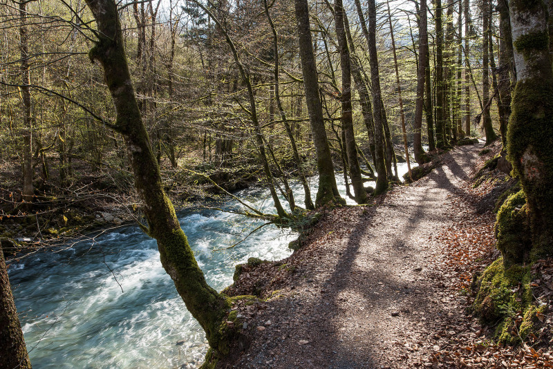 Sentier pédestre : à la découverte de Saint Jean d'Aulps